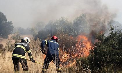 Συνελήφθη 10χρονος για εμπρησμό στη Λέσβο - Η απίστευτη εξήγηση που έδωσε!