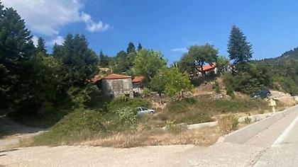 Άρτα: Εντοπίστηκε ο 29χρονος που δολοφόνησε τον πεθερό του