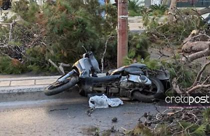 Κρήτη: Βίντεο-ντοκουμέντο από την πτώση του δέντρου που σκότωσε τον 51χρονο