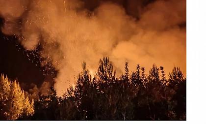 Καλύτερη εικόνα παρουσιάζει η φωτιά στην Ανάληψη Αμαλιάδας