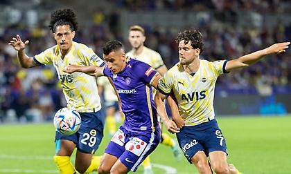 Φενέρμπαχτσε-Αούστρια Βιέννης