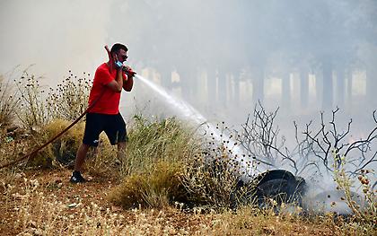 Φωτιά τώρα στον Έβρο