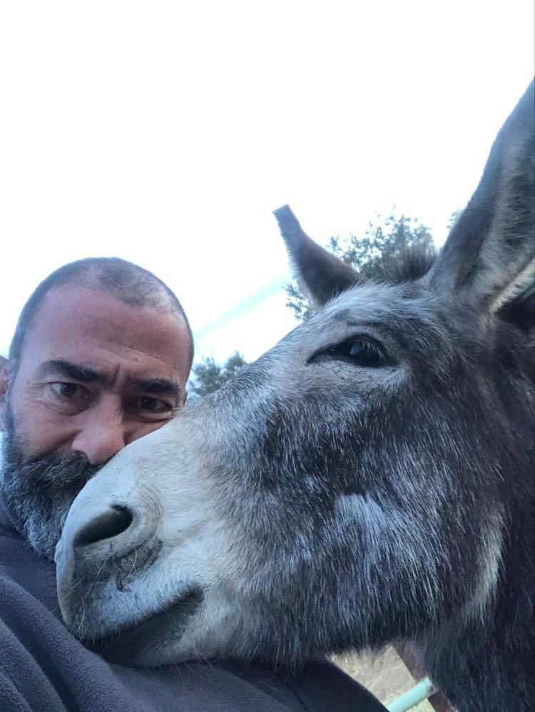 Έδεσσα: Γάιδαρος έγινε άγαλμα και μάθημα συμπεριφοράς