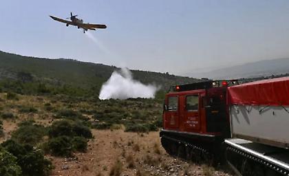 Φωτιά τώρα σε δάσος στην περιοχή Αλιμάκι Μεσσηνίας