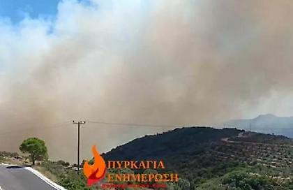 Καίγεται δάσος στα Κύθηρα - Στα 8 μποφόρ οι άνεμοι - Στη μάχη εναέρια μέσα