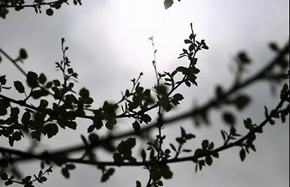Καιρός: Βοριάδες και τοπικές βροχές – Έως 32 βαθμούς ο υδράργυρος