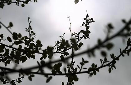 Καιρός σήμερα: Πέφτει κι άλλο η θερμοκρασία – Πού θα βρέξει