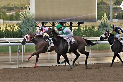 Τρία ΣΚΟΡ και 6 δυνατές ελληνικές ιπποδρομίες τη Δευτέρα στο Markopoulo Park