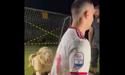 «Καθυστέρησε έξι ώρες και μετά έφυγε»: Η ανάρτηση του ιδιοκτήτη του λιονταριού για Μανωλά