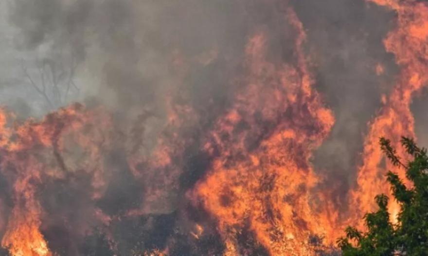 Ηλεία: Φωτιά τώρα σε αγροτική έκταση στην Σπιάντζα