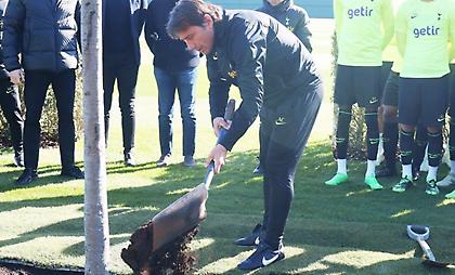 Τότεναμ: Φύτεψαν ιταλικό δέντρο προς τιμήν του Βεντρόνε