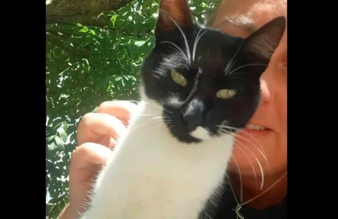 Αιδηψός: Αθώος ο 30χρονος που κλώτσησε το γατάκι