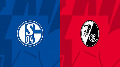 Σάλκε-Φράιμπουργκ