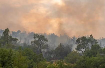 Πυρκαγιά στην Ροδόπη: Κατέκαψε 9.000 στρέμματα – Πέρασαν στη Βουλγαρία οι φλόγες (βίντεο)