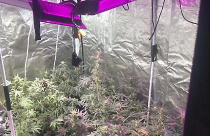 Θεσσαλονίκη: 33χρονος είχε μετατρέψει δωμάτιο του σπιτιού του σε εργαστήριο υδροπονικής κάνναβης