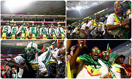 Ρεσιτάλ από τους οπαδούς της Σενεγάλης στις κερκίδες (pics)