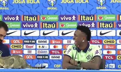 Γάτα «εισέβαλε» στη συνέντευξη Τύπου του Βινίσιους-Έσκασε στα γέλια ο Βραζιλιάνος