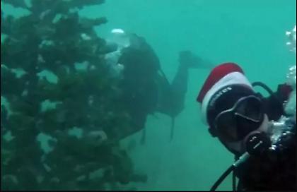 Αλόννησος: Στόλισαν χριστουγεννιάτικο δέντρο στο βυθό