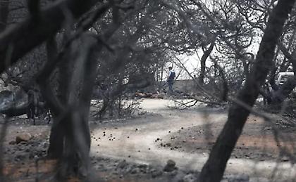 Δίκη για το Μάτι: «Νόμιζα ότι ήταν ξύλα που καιγόντουσαν, ήταν οι γονείς μου»