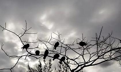 Έρχεται «βουτιά» στη θερμοκρασία: Πτώση έως και 10 βαθμών από τη Δευτέρα