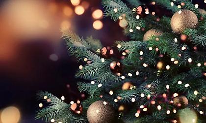 Ποιος και πότε στόλισε το πρώτο χριστουγεννιάτικο δέντρο - Οι Αθηναίοι έκαναν ουρές για να το δουν