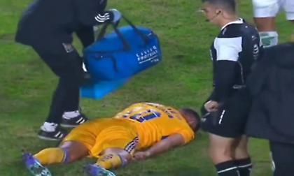 Λαχτάρησαν με Ζινιάκ, δέχτηκε την μπάλα στον σβέρκο, σωριάστηκε στο έδαφος και έκανε εμετό!