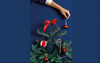 Έλατο: Τι το κάνουμε μετά το ξεστόλισμα;