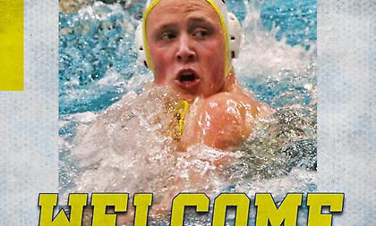 Ενίσχυση με Ναγκλ για Περιστέρι