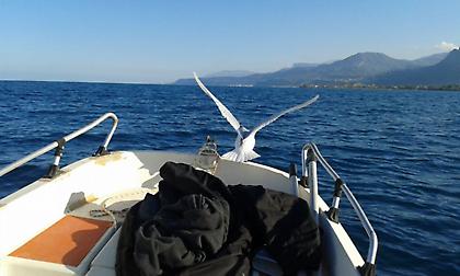 Καιρός: Συνεχίζεται το ηλιόλουστο σκηνικό - Σε υψηλά επίπεδα η θερμοκρασία