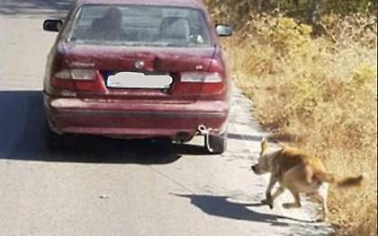 Νέα κτηνωδία: Έδεσε τον σκύλο του στον προφυλακτήρα και τον έσερνε