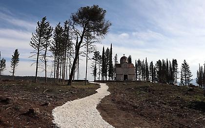 Tέως βασιλιάς Κωνσταντίνος: Όλα έτοιμα για την κηδεία – Ξεκίνησαν οι υψηλές αφίξεις