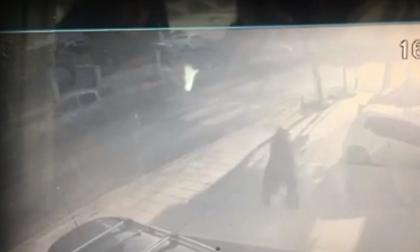 Βίντεο ντοκουμέντο με την 47χρονη πριν το έγκλημα στο Μοσχάτο: Έψαχνε τον 50χρονο λογιστή