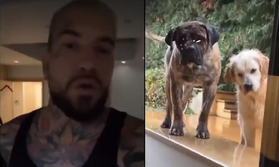 Η απάντηση του Snik σε σχόλια για τα σκυλιά του: «Βγάλτε λεφτά και κοιτάξτε τη δουλίτσα σας»