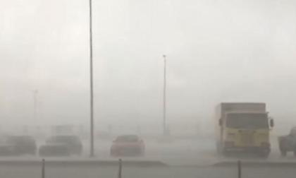 Στο έλεος της κακοκαιρίας η Ρόδος - Προβλήματα στις συγκοινωνίες, πτώσεις δέντρων, διακοπές ρεύματος