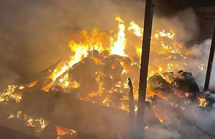 Πυρκαγιά σε ποιμνιοστάσιο στη δυτική Φθιώτιδα-Ευτυχώς σώθηκαν τα ζώα