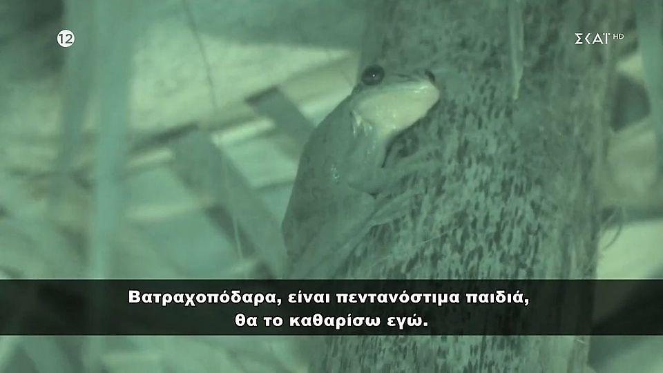 Survivor-Βάτραχος στην Κόκκινη καλύβα: «Θέλετε να το φάμε;»