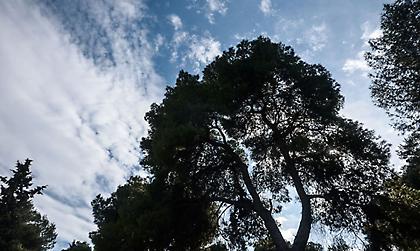 Καιρός: Σταδιακή άνοδος της θερμοκρασίας μέχρι τους 17-19 βαθμούς