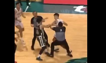 Ταϊβάν: Έπεσε το... ξύλο της αρκούδας σε παιχνίδι της ομάδας του Χάουαρντ!