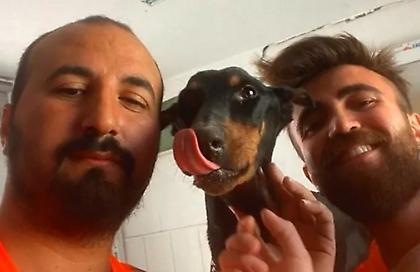 Σκυλίτσα και τα 3 κουτάβια της διασώθηκαν από τα ερείπια ένα μήνα μετά το σεισμό στην Τουρκία