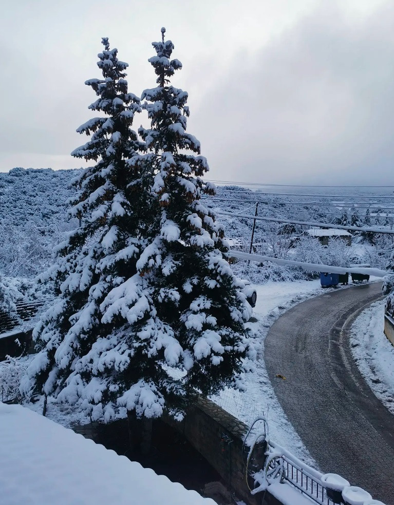 Καιρός: Χιόνια σε Θεσσαλονίκη, Χαλκιδική, Καρδίτσα, Τρίκαλα