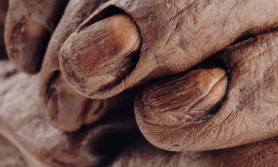 Άνοιγμα κρανίου στα δύο, κομμένο σώμα, αφαίρεση θηλών: Ο θάνατος του Old Croghan Man! (pics)