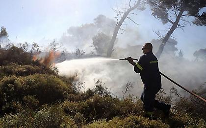 Φωτιά σε δασική έκταση στο Πήλιο