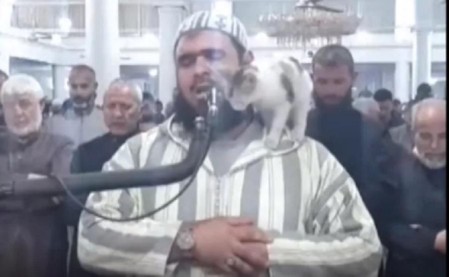 Αλγερία: Γάτα πηδάει στον ώμο ιμάμη την ώρα που προσεύχεται για το Ραμαζάνι