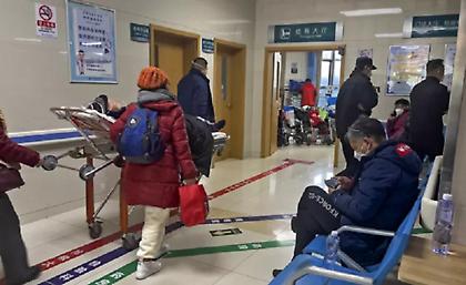 Κίνα: Γυναίκα πέθανε από τη γρίπη των πτηνών Η3Ν8