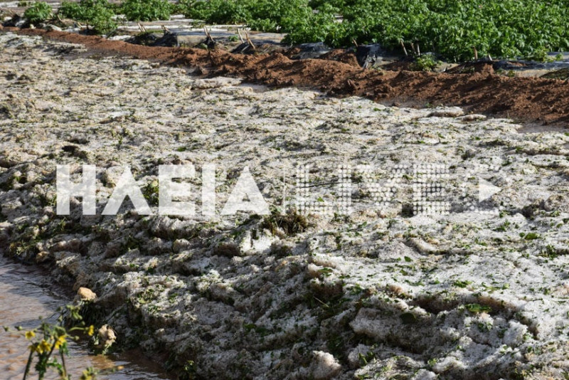Σφοδρή χαλαζόπτωση στην Ηλεία