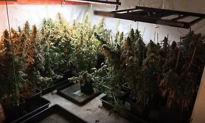 Μετέτρεψαν βίλες σε «εργοστάσια» κάνναβης - Πάνω από 70.000 ευρώ τα κέρδη της οργάνωσης