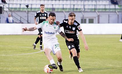 Λεβαδειακός-ΠΑΣ Γιάννινα 3-3