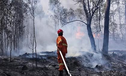 Υπό έλεγχο η πυρκαγιά στη Ρόδο - Έκαψε 50 στρέμματα αγροτικής και δασικής έκτασης