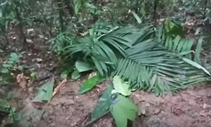 Βρέθηκαν ζωντανά τέσσερα παιδιά που αγνοούνταν στη ζούγκλα της Κολομβίας μετά τη συντριβή αεροπλάνου