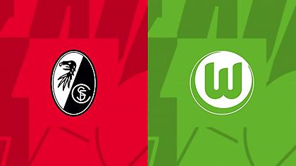 Φράιμπουργκ-Βόλφσμπουργκ